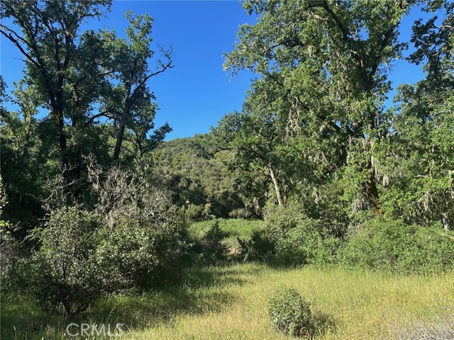 7300 Ridge Road, Lakeport