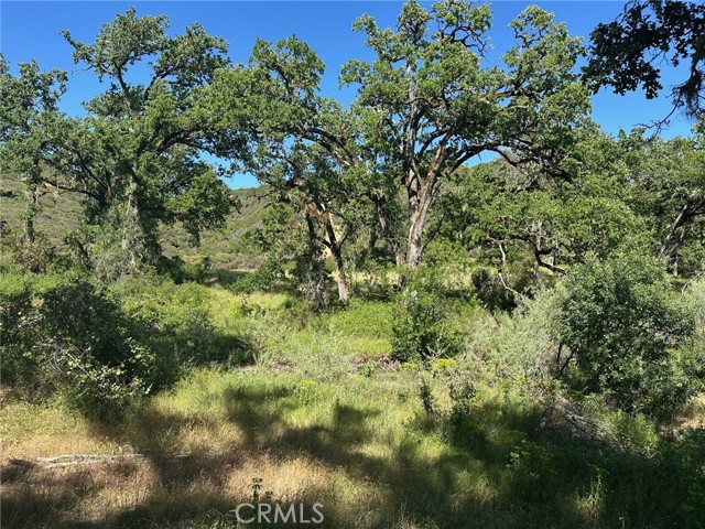 7300 Ridge Road, Lakeport