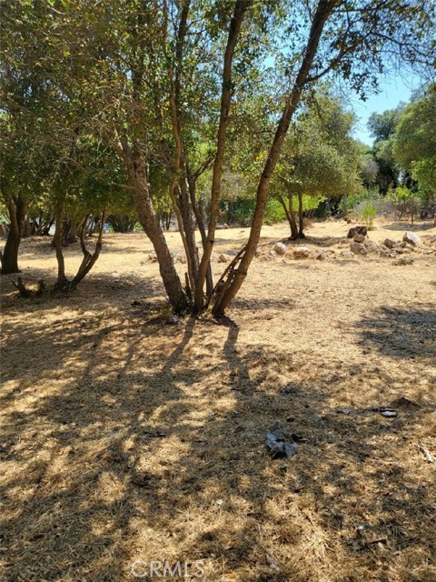3150 Country Club Drive, Clearlake