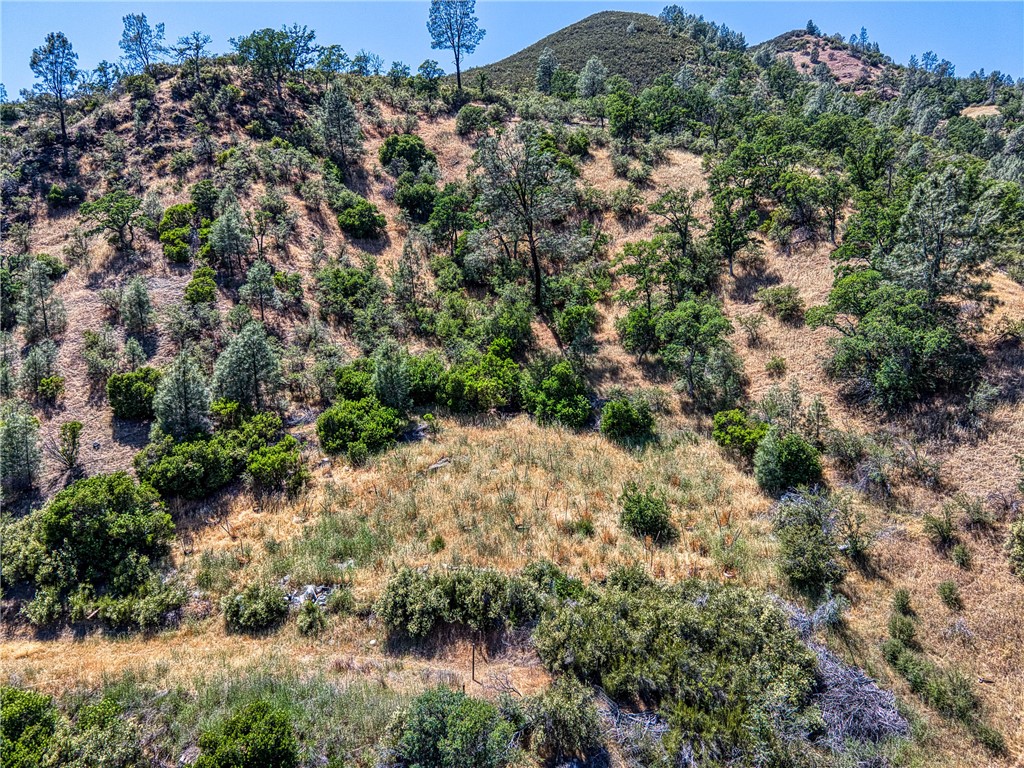 104 Mule Skinner, Clearlake Oaks