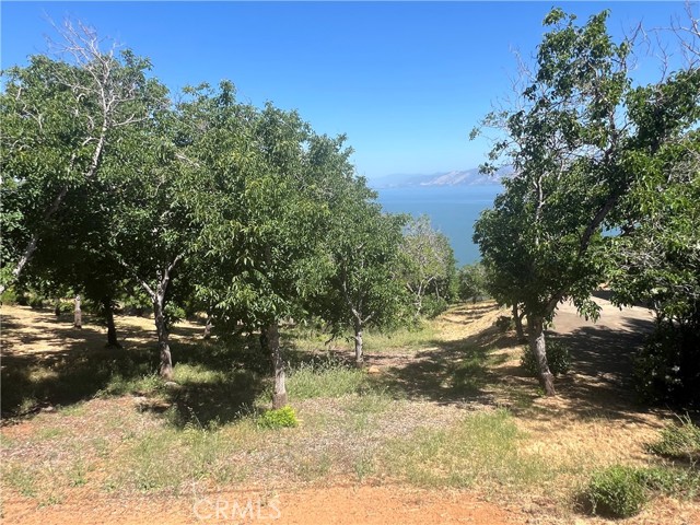 3031 Westridge Drive
