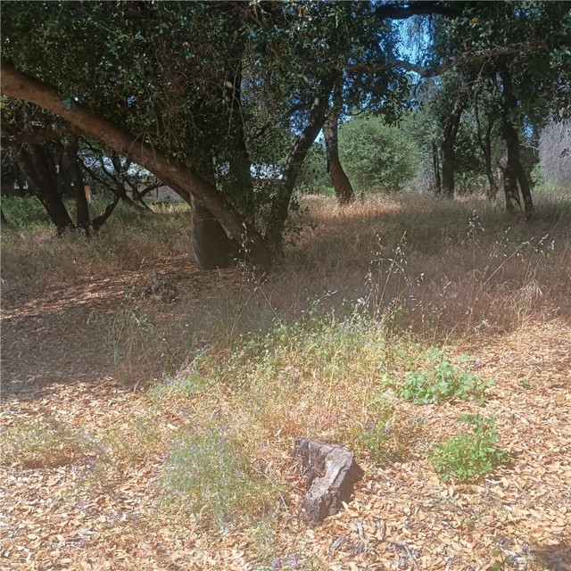 3519 Covelo Street, Clearlake