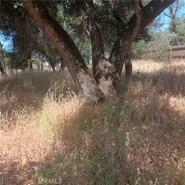 3519 Covelo Street, Clearlake