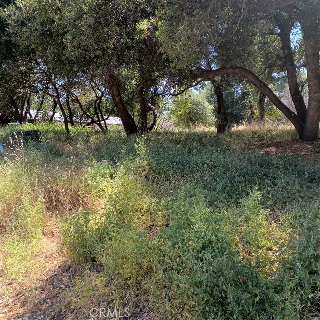 3519 Covelo Street, Clearlake