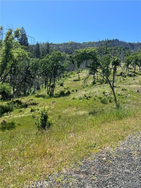 12609 Elk Mountain Road, Upper Lake
