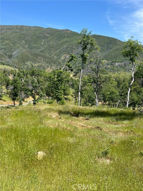 12609 Elk Mountain Road, Upper Lake
