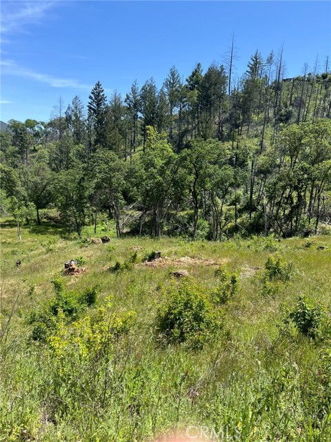 12609 Elk Mountain Road, Upper Lake
