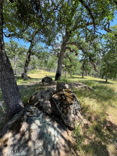 12609 Elk Mountain Road, Upper Lake