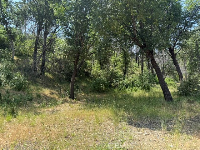 12609 Elk Mountain Road, Upper Lake