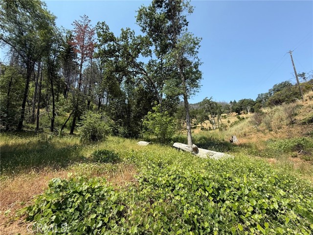 12609 Elk Mountain Road, Upper Lake