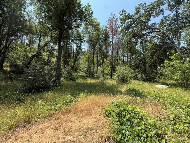 12609 Elk Mountain Road, Upper Lake