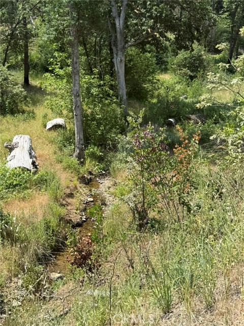 12609 Elk Mountain Road, Upper Lake