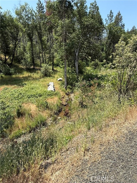 12609 Elk Mountain Road, Upper Lake