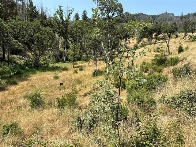 12609 Elk Mountain Road, Upper Lake