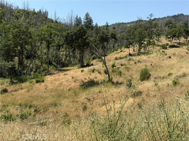 12609 Elk Mountain Road, Upper Lake