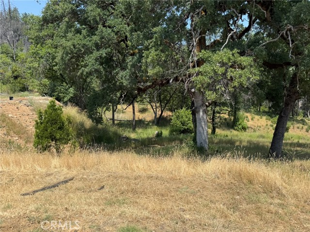 12609 Elk Mountain Road, Upper Lake