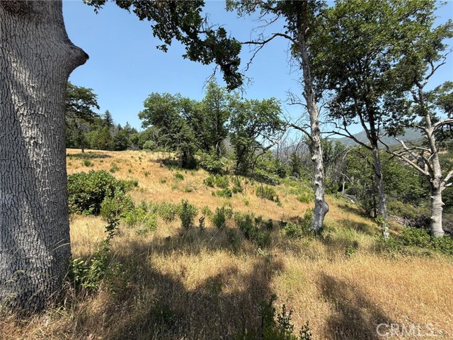 12609 Elk Mountain Road, Upper Lake