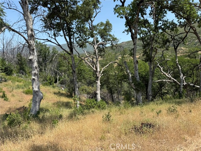 12609 Elk Mountain Road, Upper Lake