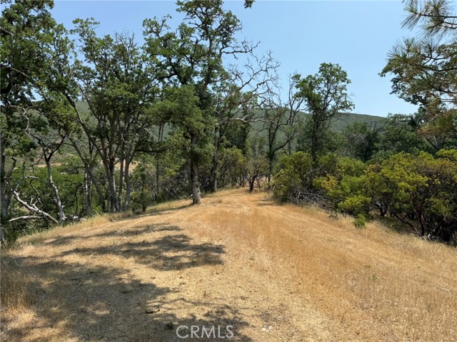 12609 Elk Mountain Road, Upper Lake