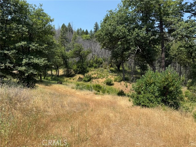 12609 Elk Mountain Road, Upper Lake