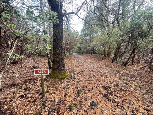 3476 Upland Way, Upper Lake