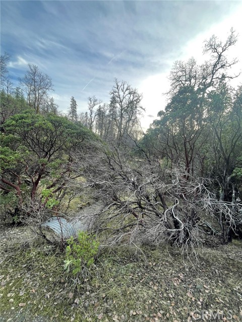 3476 Upland Way, Upper Lake
