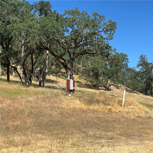 8205 Highway 29, Lakeport