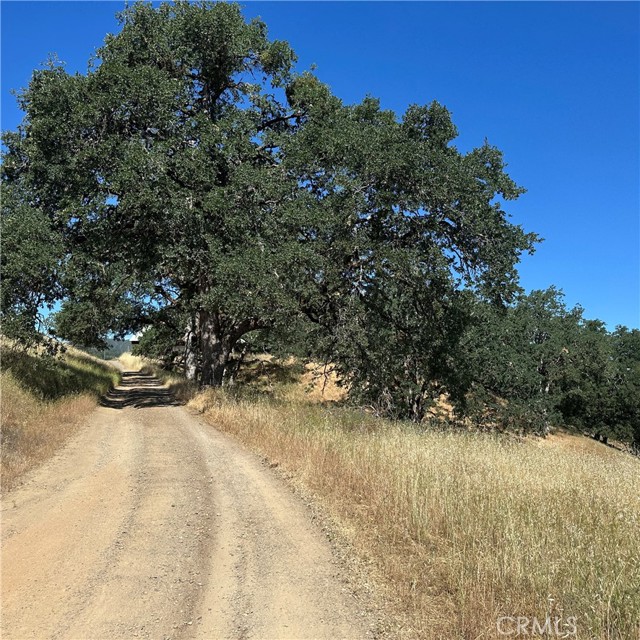 8205 Highway 29, Lakeport