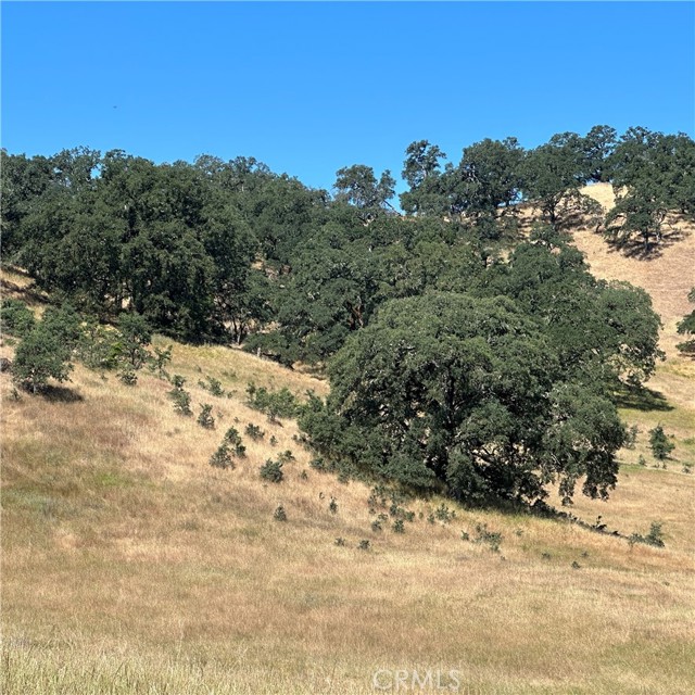 8155 Highway 29, Lakeport