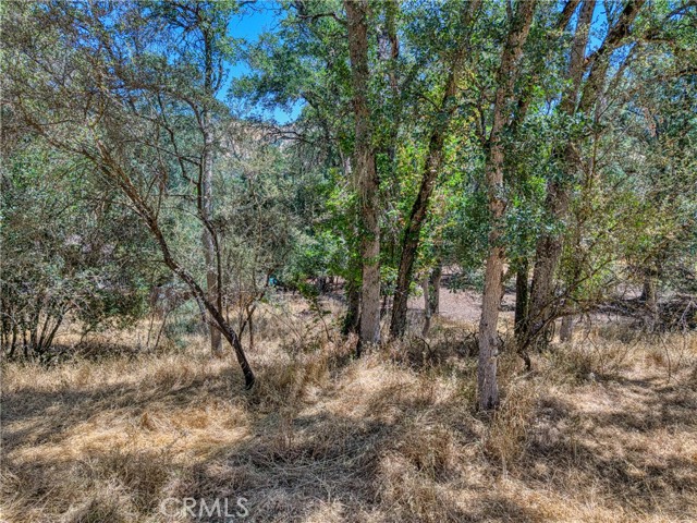 13020 Ridge Street, Clearlake