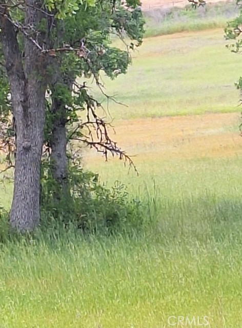 3397 OLEANDER Street, Clearlake