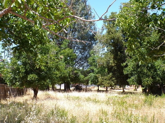 3225 Marina View Drive, Kelseyville