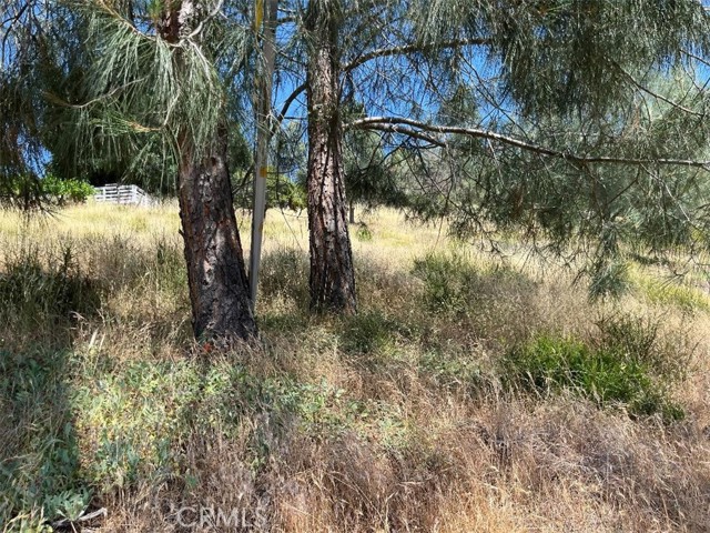 6925 Echo Drive, Kelseyville