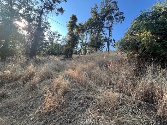 11030 Pioneer Dr, Clearlake
