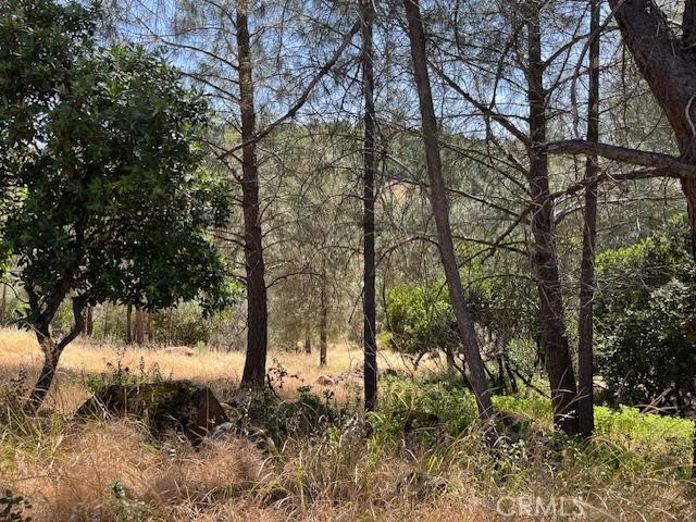 10353 Walnut Way, Kelseyville