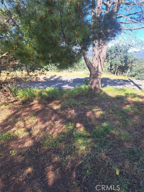 16125 14th Avenue, Clearlake