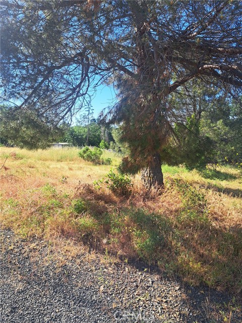 16125 14th Avenue, Clearlake