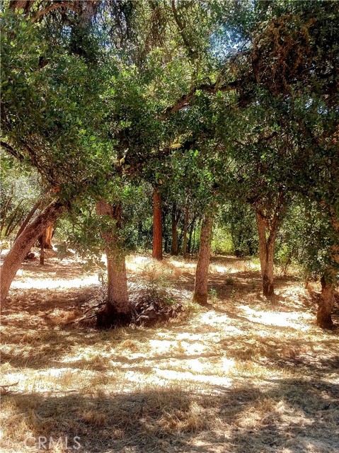 5947 Armijo Avenue, Clearlake