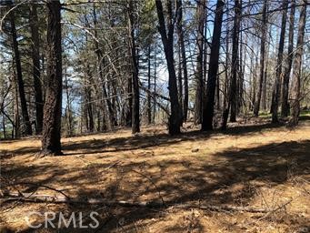 6847 High Valley Road, Lucerne