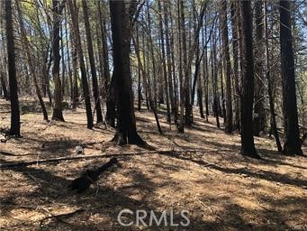 6847 High Valley Road, Lucerne