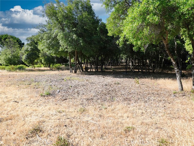 3157 Riviera Heights Drive, Kelseyville