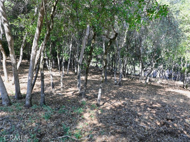 3157 Riviera Heights Drive, Kelseyville