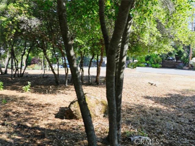 3157 Riviera Heights Drive, Kelseyville