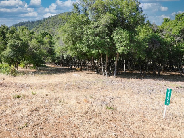 3157 Riviera Heights Drive, Kelseyville
