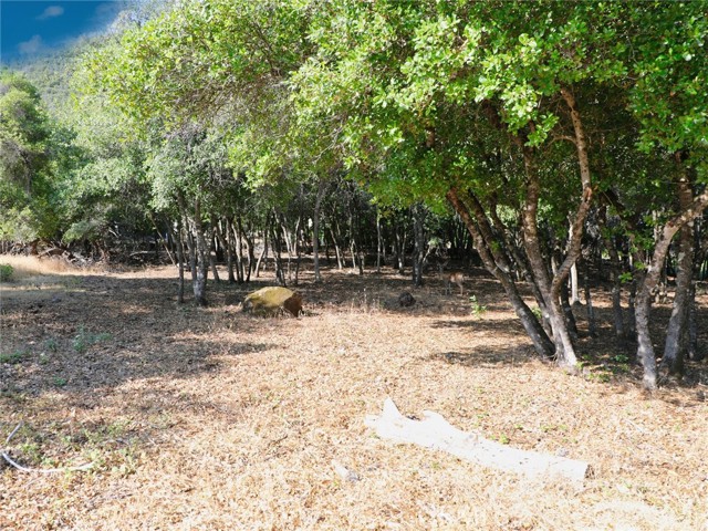 3157 Riviera Heights Drive, Kelseyville