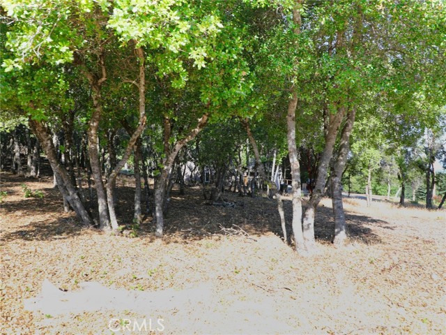 3157 Riviera Heights Drive, Kelseyville