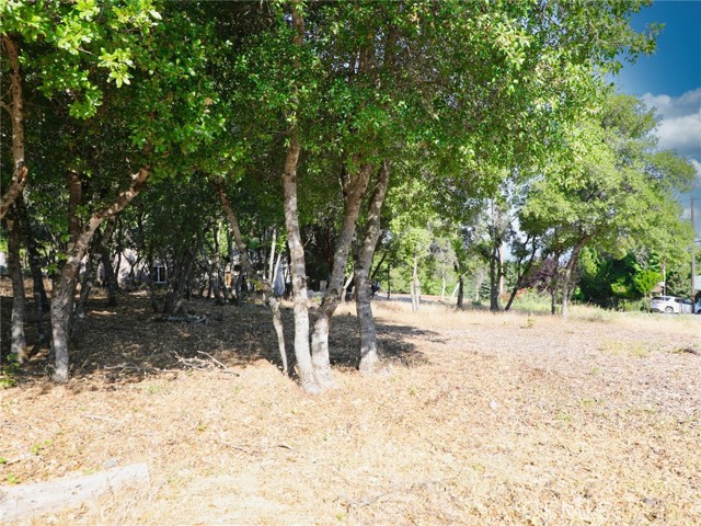 3157 Riviera Heights Drive, Kelseyville