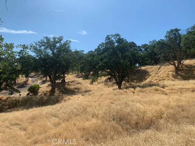 10455 Sky High Ridge Road, Lower Lake