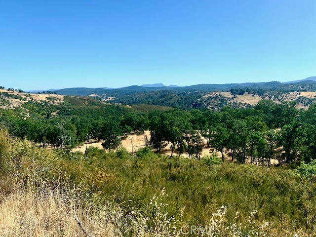 10455 Sky High Ridge Road, Lower Lake