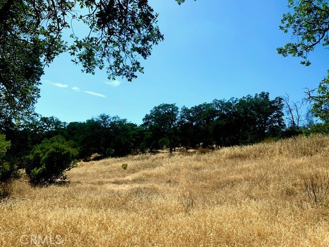 10455 Sky High Ridge Road, Lower Lake